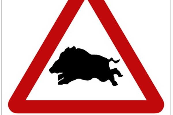 Signalétique Chasse