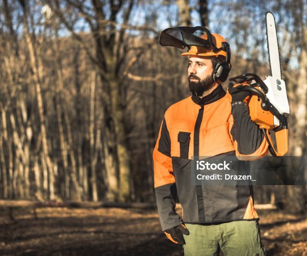 Vêtements haut du corps