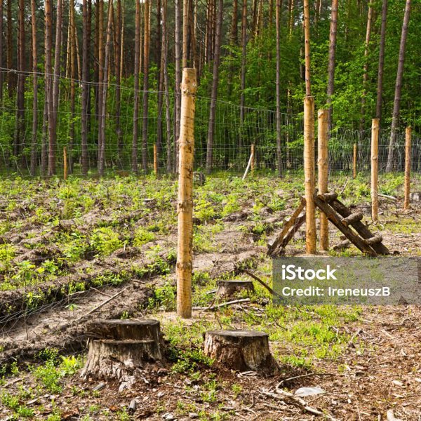 Plantation