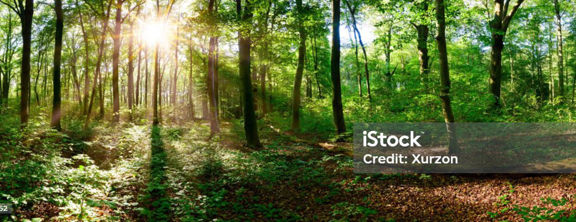 Istockphoto 1022929252 1024X1024